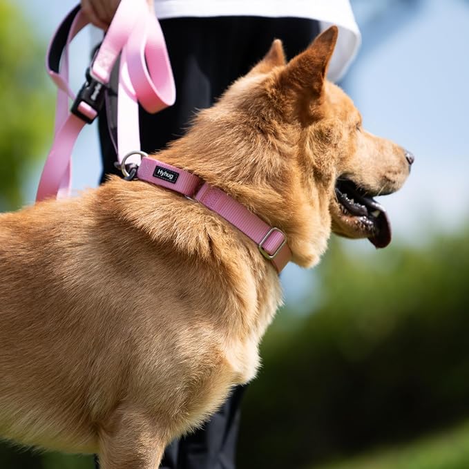 Hyhug Martingale Collar for Dogs Small Pink |Escape - Proof Heavy Duty Nylon Durable No Buckle, Ideal for Training & Daily Walks