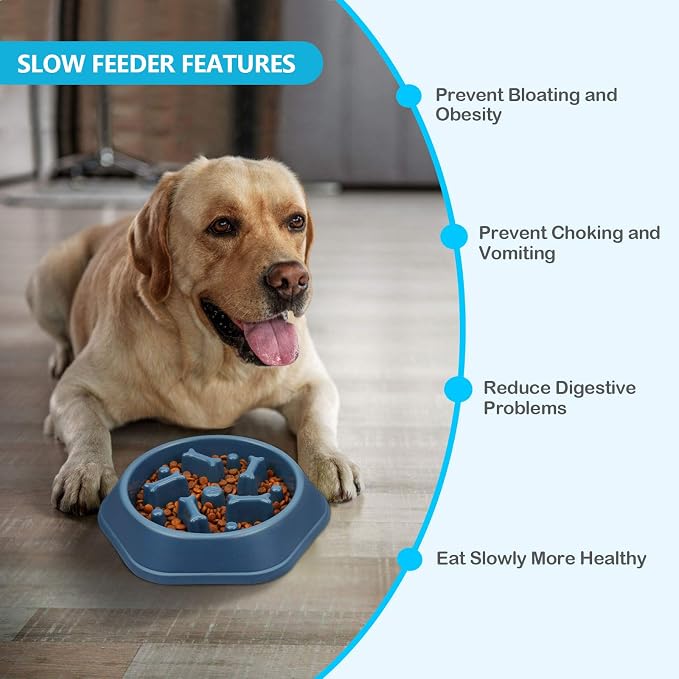UPSKY 2PCS Slow Feeder Dog Bowl Anti-Chocking Slower Feeding Dog Puzzle Bowls, Interactive Bloat Stop Dogs Food Bowl Dishes Non-Slide Lick Treat Bowl for Small Medium Dogs (Blue+Green)