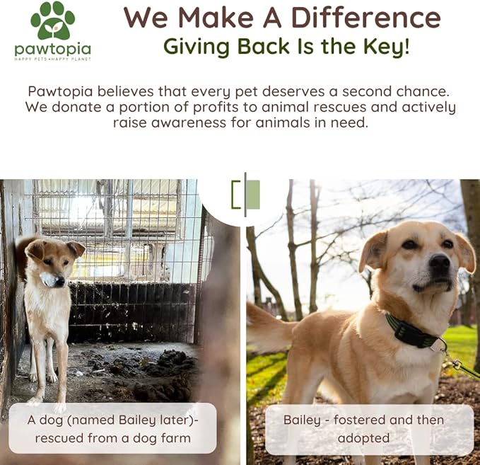 Pawtria Certified Home Compostable Dog Poop Bags (240), Poop Bags for Dogs, Cat Litter, Vegetable Starches, Dog Waste Bags, Leakproof, Easy to Open, Give Back