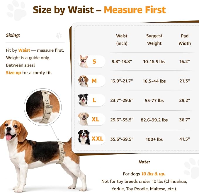 Adjustable Dog Lift Harness Dog Sling for Large Dogs Hind Leg Support Soft Lift Support for Weak Rear Legs, Helps Senior, Injured, Disabled, After ACL Surgery Dogs (Grey&Grey, Medium)