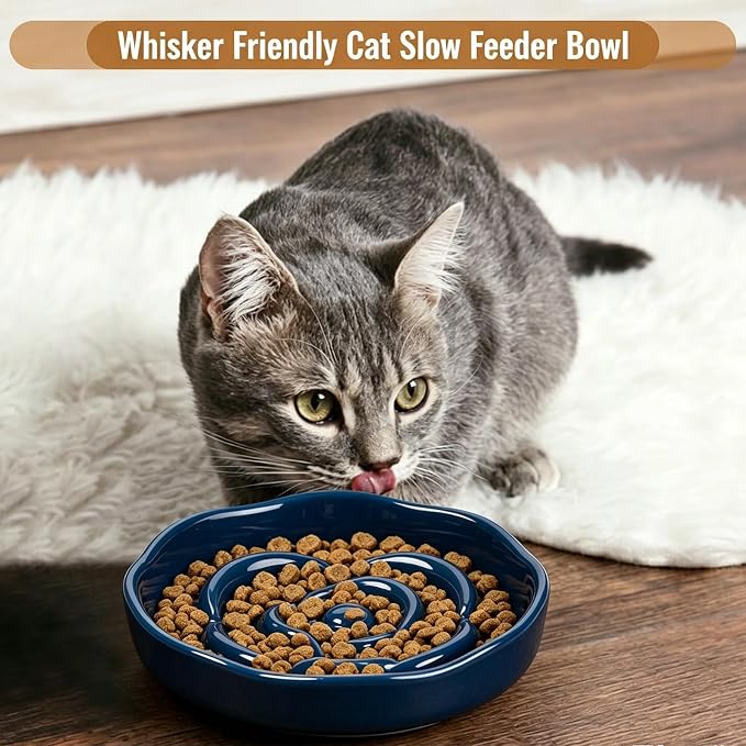 Slow Feeder Cat Bowl Set of 2, Ceramic Slow Feeding Cats Bowl Whisker Friendly, Anti Vomiting Cat Feeder for Dry and Wet Food，Fun Maze Interactive Bloat Stop Puzzle Bowls for Healthy Eating Diet