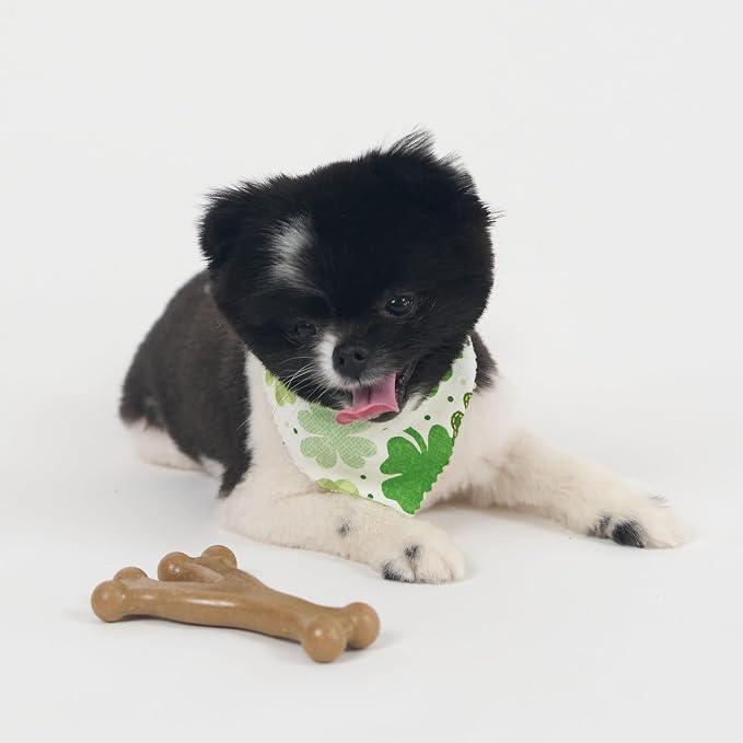 SPOT Bam-Bones Wishbone Dog Chew Toy, Bamboo Fiber Blend, Non-Splintering Durable Chew for Light to Moderate Chewers, Adult Dogs & Teething Puppies 10–30 lbs, Chicken Flavor, 5.25 in
