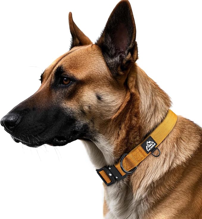 Medium Dog Collar Boy Girl - Adjustable, Chew Proof Nylon Collar with Metal Quick Release Buckle and D-Ring for Dog Tags (Turmeric Yellow, M)