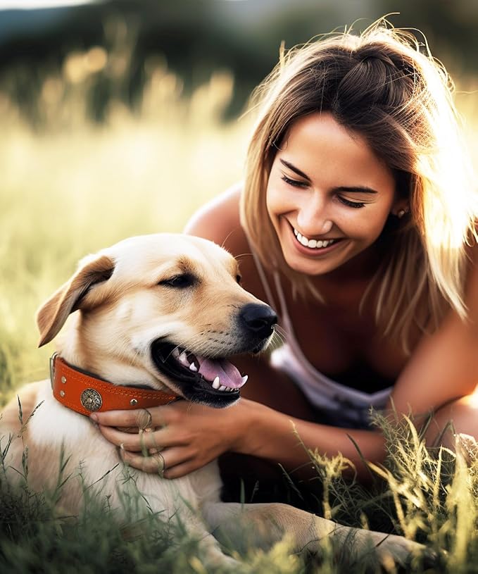 Genuine Leather Dog Collar for Large Dogs,2 in Wide Heavy Duty,OR-S | Handmade,Stainless Steel Pin Buckle,Soft Padded,Alloy Studded,Luxury Eye-catching Design,Medium Large Giant Breeds,15-19 in