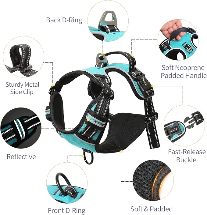 HEELE Dog Harness, No Pull Adjustable Padded Reflective Harness for Small Medium Large Dogs with Handle for Walking Training,Turquoise, M