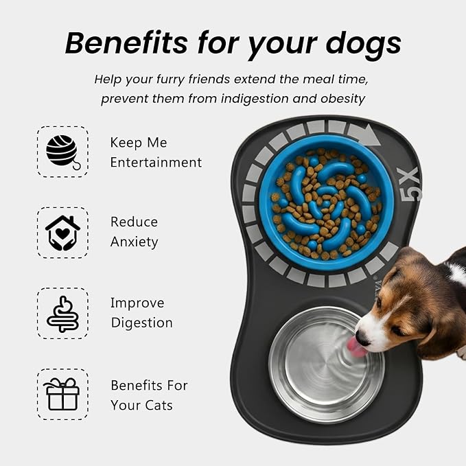 YINEYA 3 in 1 Slow Feeder Dog Bowls & Stainless Steel Food and Water Bowl with Non-Spill Dog Bowl Mat, Anti-Choking Puppy Bowls, Floor Safe & Easy Clean for Large Medium Small Dogs Cats