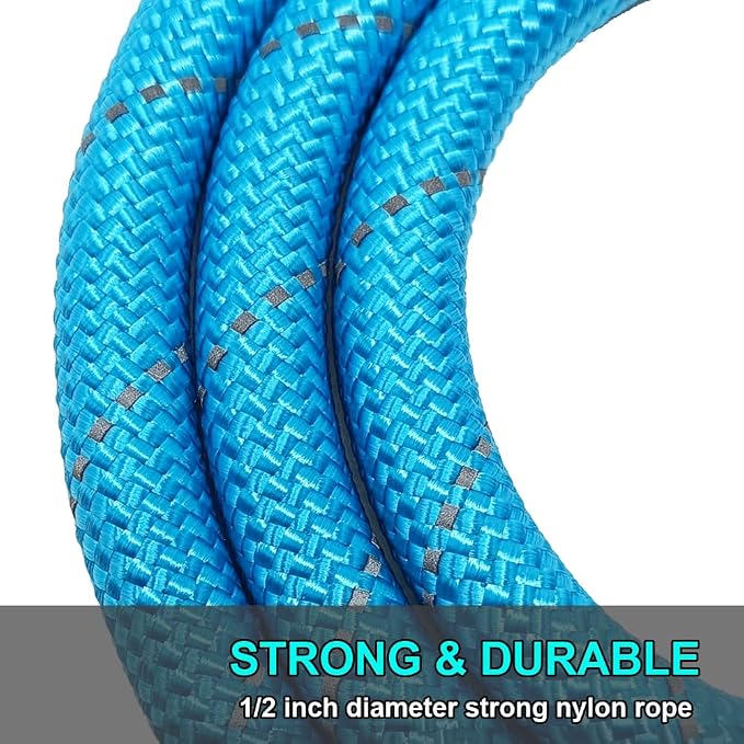 BTINESFUL 6FT Chewproof Dog Leash, Strong Nylon Rope with Anti-Chewing Chain and Padded Handle for Medium Large Dogs Outdoor Training Walking Hiking (Blue)