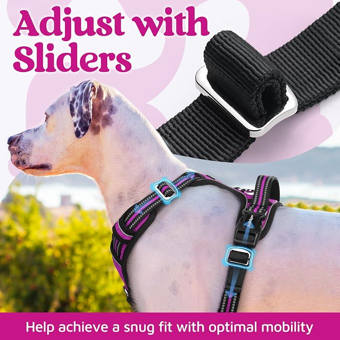rabbitgoo Dog Harness Medium Sized, 3 Buckles Easy On & Off No Pull Pet Vest, Soft Padded Walking Pet Harness with Control Handle, Adjustable and Reflective, Purple, M