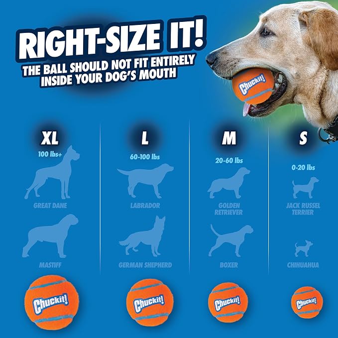Chuckit! Dog Tennis Ball Dog Toy, Medium (2.5 Inch Diameter) for dogs 20-60 lbs, Pack of 2