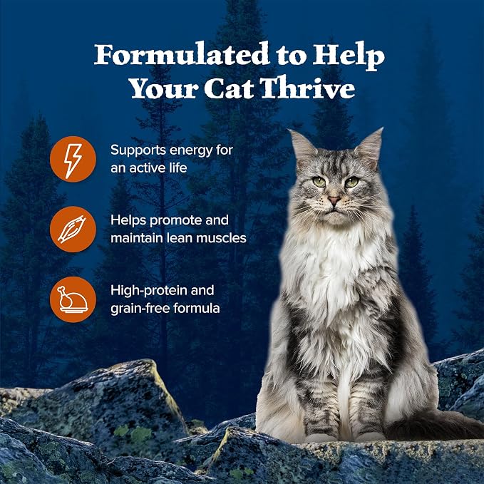 Blue Buffalo Wilderness Wild Delights Meaty Morsels Chicken & Turkey in Tasty Gravy Adult Wet Cat Food, High-Protein & Grain-Free Recipe with Natural Ingredients, 3-oz. Cans (24 Count)