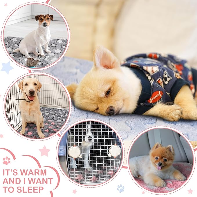 Reginary 4 Pcs Waterproof Guinea Pig Blankets Washable Small Animal Fleece Bedding Absorbent Guinea Pig Cage Liners Reusable Training Pee Pad Pet Sleep Mat for Hamster(Cute Star Pattern,24 x 47 Inch)
