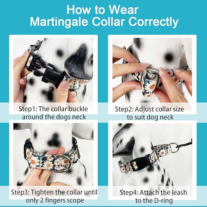 Martingale Collar for Dogs Flower Dog Collar with Quick Release Buckle Adjustable Nylon Soft Dog Collars for Small Dogs, Daisy