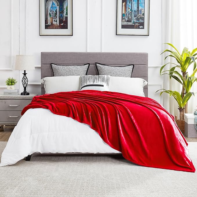 DREAMNINE Ultra Large Soft Fuzzy Flannel Fleece Blanket Full Size 80" x 90", Decorative Solid Lightweight Fluffy Velvet Bed Blanket, Luxury Big Cute Cozy Shag Plush Microfiber Blankets for Bedroom,Red