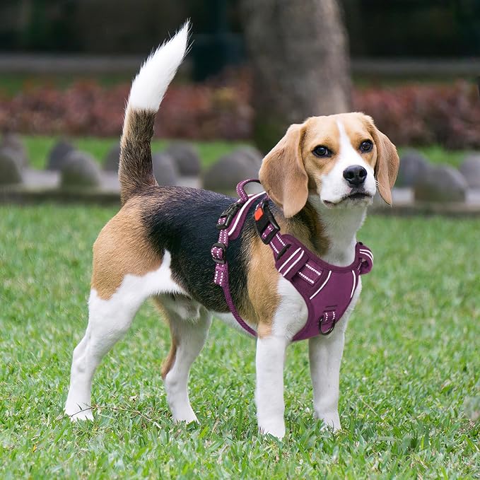 Timos Dog Harness Medium Sized, No Pull Pet Harness with Neck Lockable Snap, No Choke Front Clip Reflective Vest, Adjustable Metal Rings 3 Buckles, Easy Control Handle for Medium Dogs Grape Purple M