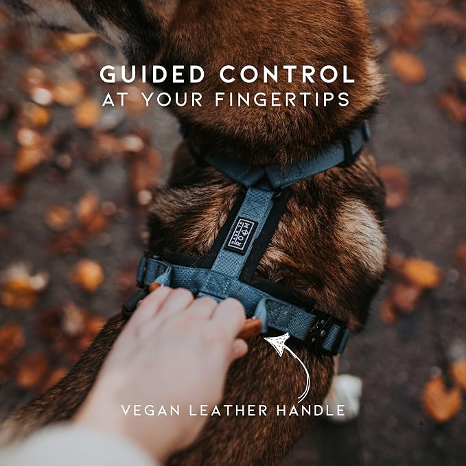 MADE TO ROAM Premium Explorer Harness - Y-Shaped Dog Harness with Adjustable Durable Nylon, Soft Padding, Metal Buckles and Leather Handle for Small, Medium, Large Dogs (Utah Glow, Size 7)