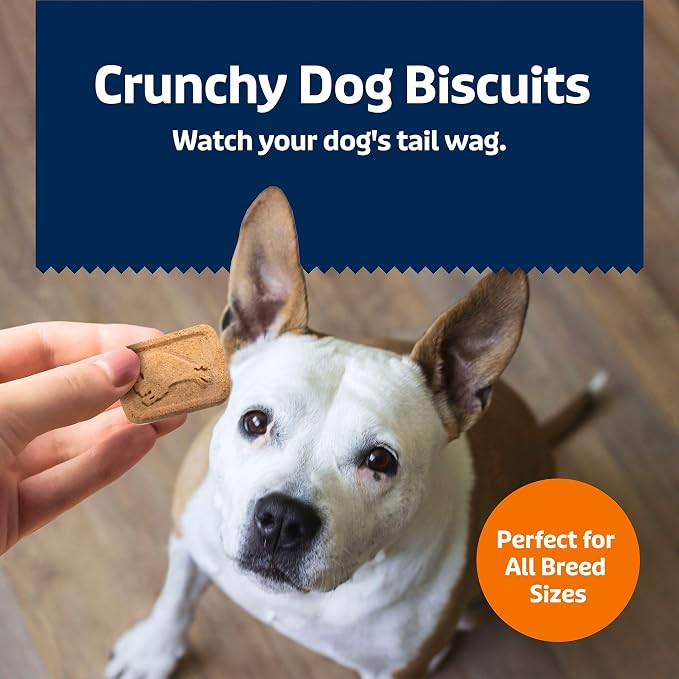 Blue Buffalo Health Bars Pumpkin & Cinnamon Crunchy Dog Biscuits, Oven-Baked with Pumpkin & Natural Ingredients, Healthy Dog Treats with No Artificial Flavors or Preservatives, 16 oz.