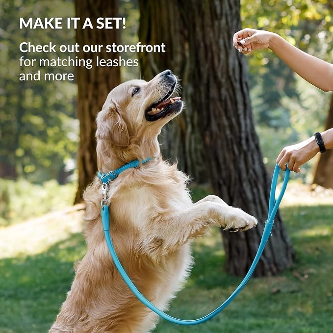 CollarDirect Rolled Leather Dog Collar, Soft Padded Round Puppy Collar, Handmade Genuine Leather Collar Dog Small Large Cat Collars 13 Colors (18-22 Inch, Light Blue Smooth)