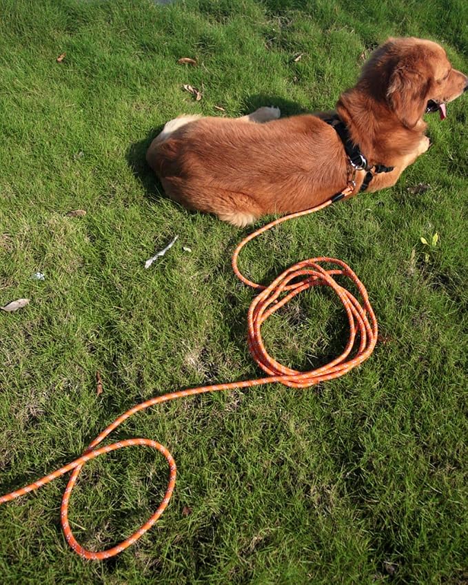 Long Dog Leash for Dog Training 10FT 16FT/30FT/50FT/100FT, Reflective Threads Rope Dog Leash, Heavy Duty Dog Lead for Large Medium Small Dogs Walking Playing, Camping, or Yard