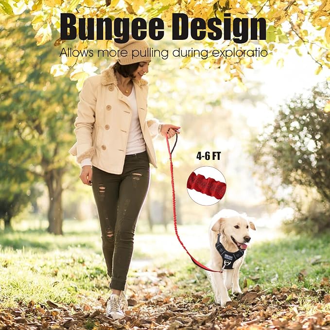 BUMBIN 6Ft Dog Leash Large Dogs, Bungee Dog Leash with 2 Handles, Heavy Duty Dog Leashes for Medium Small Dogs, No Pull Shock Absorbing Dog Leash with Car Seat Belt for Training, Red