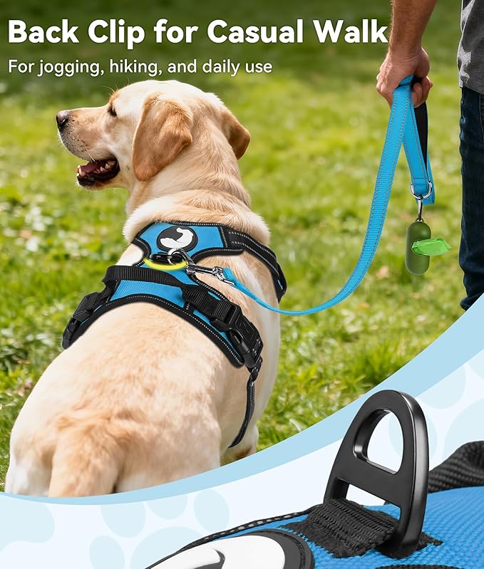 Joytale No Pull Dog Harness for Small Dogs, Reflective Pet Vest with Front Clip, Adjustable Soft Padded Harnesses with Easy Control Handle for Training and Walking, Sky Blue, S