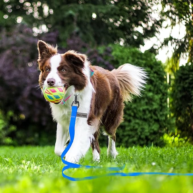 Wolfone 20ft Blue Long Leash - Waterproof Training Dog Leash for Recall, Swimming, Camping, Beach, Hunting, Walking