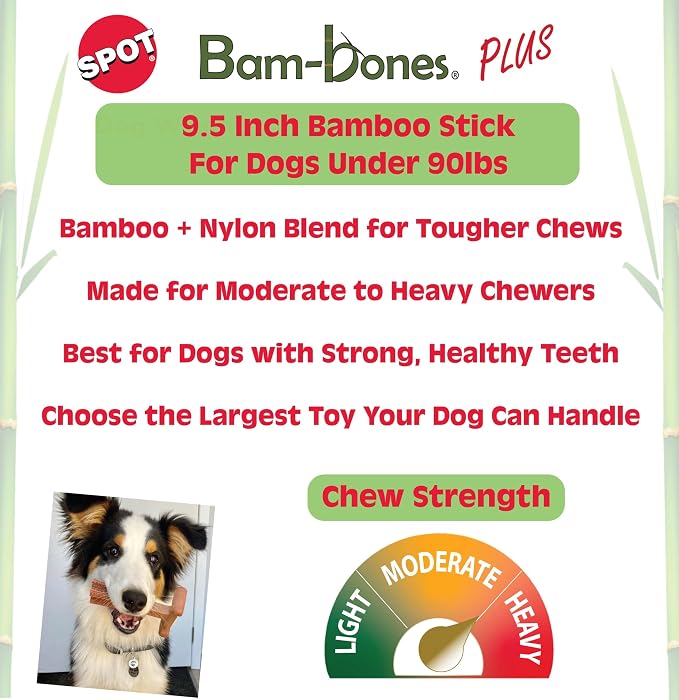 SPOT Bam-Bones Plus Bamboo Stick - Bamboo Fiber & Nylon, Durable Long Lasting Dog Chew for Aggressive Chewers – Great Toy for Adult Dogs & Puppies Under 90lbs, Non-Splintering, 9.5in, Chicken Flavor