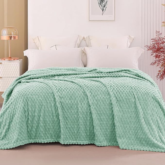 Exclusivo Mezcla Fleece Queen Blanket for Bed, Extra Large Fuzzy Sage Green Bed Blankets, Soft Cozy Plush Sofa Throws for All Seasons, 90x90 Inches