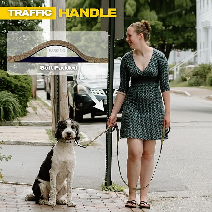 Fida 10ft Heavy Duty Dog Leash with 2 Comfortable Padded Handles, Traffic Handle & Advanced Easy Snap Hook, Reflective Walking Lead for Large, Medium & Small Breed Dogs, Brown