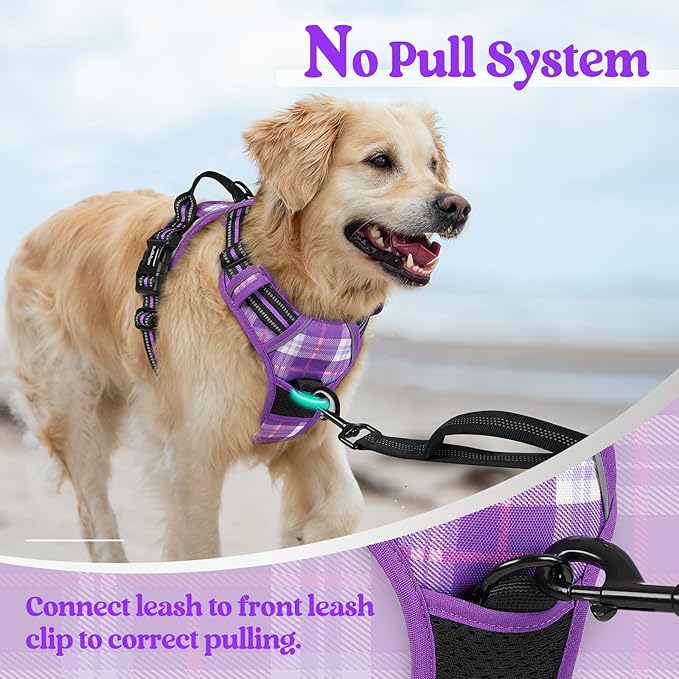 rabbitgoo Dog Harness No Pull with 2 Leash Clips, Adjustable Soft Padded, Reflective Oxford No Choke Pet Vest with Easy Control Handle for Medium Sized Dogs, Purple Plaid, M