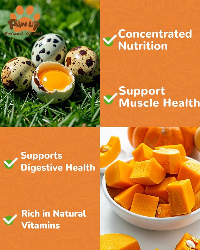 PAWUP Freeze Dried Cat & Dog Treats, Natural Quail Egg Yolk, High Fiber Pumpkin Added, High-Protein Pet Snacks for Coat & Gut Health, 3.5 oz