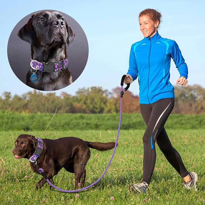 Ladoogo Reflective Dog Collar Padded with Soft Neoprene Breathable Adjustable Nylon Dog Collars for Small Medium Large Dogs (X-Small (Pack of 1), Purple/Pink Floral Collar+Leash)