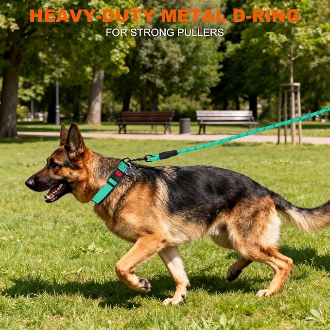 Taglory Reflective Dog Collar for Large Dogs, Soft Neoprene Padded with Escape-Proof Locking Buckle, Upgraded Zinc Alloy Ring, Adjustable for Pitbull Labrador Retriever, Turquoise,L