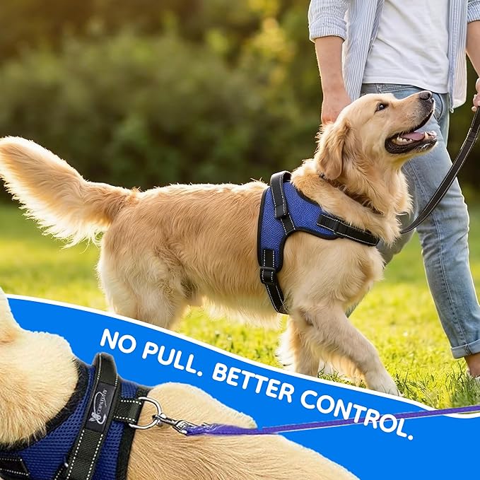 No Pull Reflective Adjustable Dog Harness With Handle- Comfortable Soft All Weather Mesh, Easy On Puppy Harness For Small Medium and Large Dogs (Blue) X-Large
