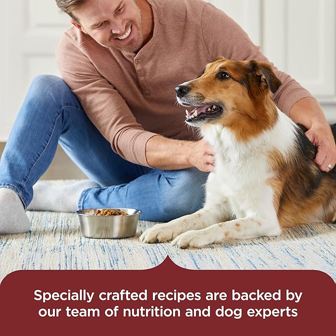 Nutrish Real Beef, Pea & Brown Rice Recipe Whole Health Blend Dry Dog Food, 40 lb. Bag, Packaging May Vary (Rachael Ray)