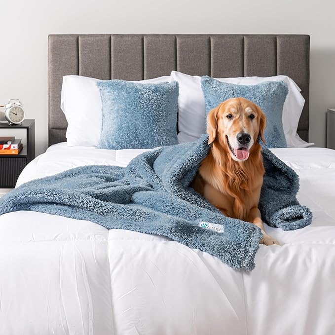 PetAmi Fluffy Waterproof Dog Blanket for Couch and Bed, Reversible Sherpa Pet Throw, Pee Proof Furniture Protector Sofa Cover, Washable Cat Blanket for Medium Large Dogs and Cats (Dusty Blue, 60x80)