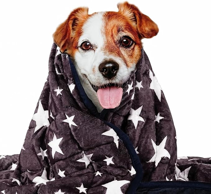 LaSyL Weighted Blanket for Pets | Thunder Blanket for Dogs Anxiety | Premium Soft Minky | Relaxation & Calming & Anti Anxiety | Used in Car, Bed, Couch | Blue Grey Star, Washable Medium (32"x40")