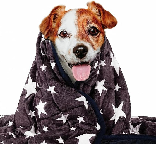 LaSyL Weighted Blanket for Pets | Thunder Blanket for Dogs Anxiety | Premium Soft Minky | Relaxation & Calming & Anti Anxiety | Used in Car, Bed, Couch | Blue Grey Star, Washable Medium (32"x40")