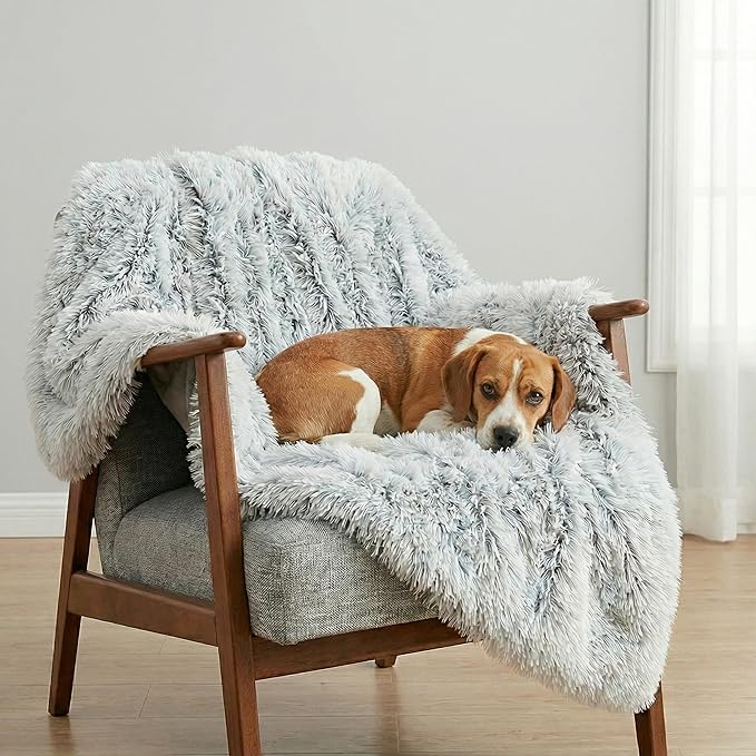 PJYuCien Dog Blanket for Dogs, Puppies and Pets, Lightweight & Portable Fluffy Fleece Throw, Super Soft Plush Cat Blanket for Couch/Car Seat/Furniture, Machine Washable, 30"x40", Grey