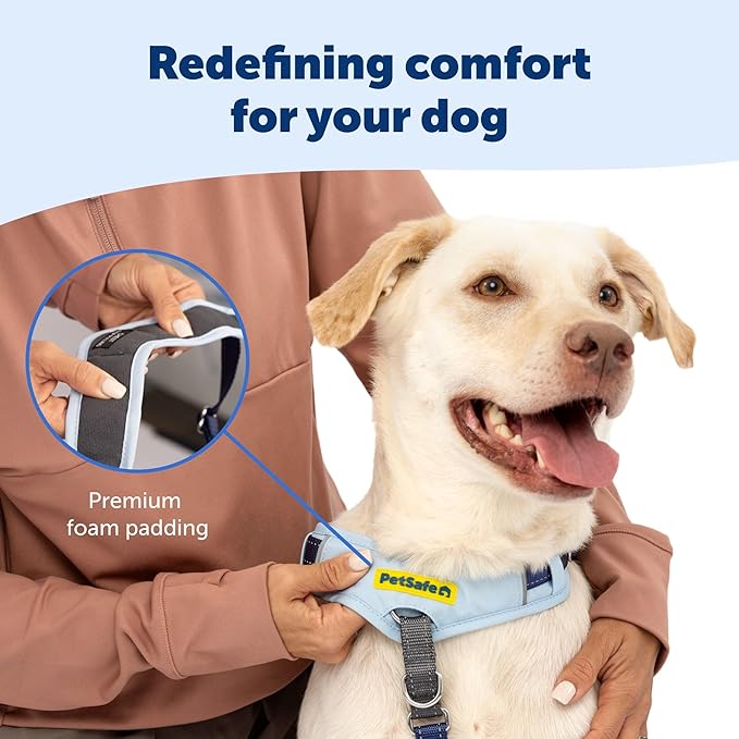PetSafe Easy Walk Comfort No-Pull Dog Harness Padding - Better Walks on 1st Use - 5 Points of Adjustment Large, Green Gingham