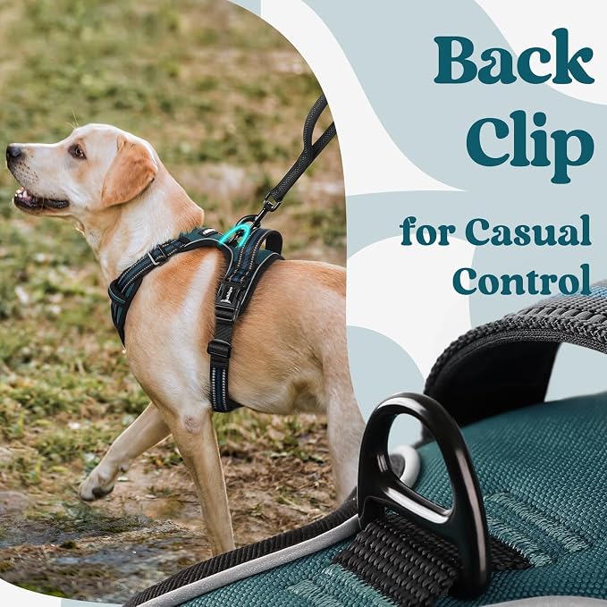 rabbitgoo Dog Harness Medium Sized, No Pull Easy On & Off with 3 Buckles Pet Harness, Adjustable Soft Walking Vest with 2 Clips and Handle, Reflective for Medium Dogs, Blue Coral, M