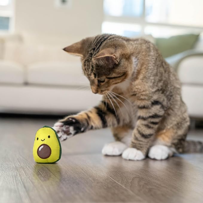 Catstages Lil' Avocato Cat Toy, Interactive Plush Avocado with Catnip, Kicker & Chew Toy for Indoor Cats, Encourages Active Play, Mental Stimulation, Dental Health, and Solo Fun, Green (Pack of 2)