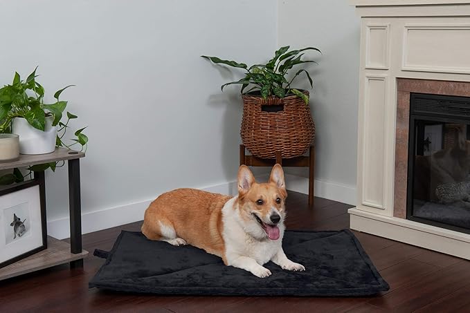 Furhaven ThermaNAP Self-Warming Cat Bed for Indoor Cats & Small Dogs, Washable & Reflects Body Heat - Quilted Faux Fur Reflective Bed Mat - Black, Small (Pack of 2)