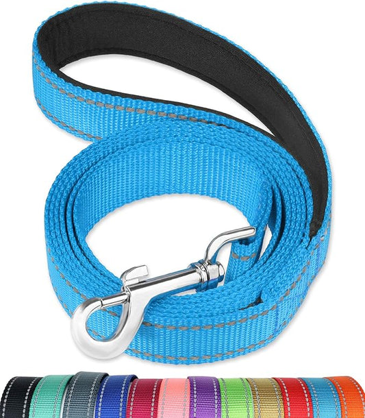 FunTags 6FT Sky Blue Reflective Dog Leash for Large & Medium Dogs Walking, Soft Padded Handle Comfortable Grip, Heavy Duty Nylon, Reflective for Night Walking, 1in Wide
