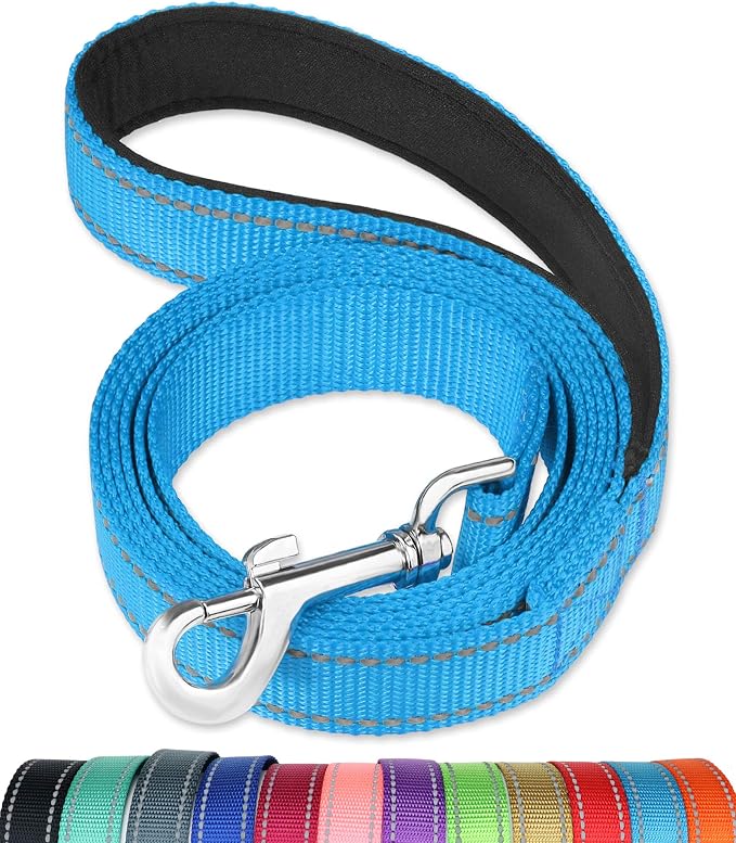 FunTags 4FT Sky Blue Reflective Dog Leash for Large & Medium Dogs Training, Soft Padded Handle Comfortable Grip, Heavy Duty Nylon, Reflective for Night Walking, 1in Wide