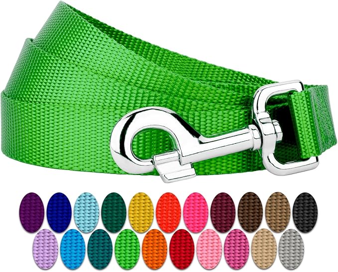 Country Brook Petz - Everyday Nylon Dog Leash - Strong, Durable, Solid Color Leash with Easy to Use Snap - 25+ Colors (1 Inch Wide, 4 Foot, Hot Lime Green)