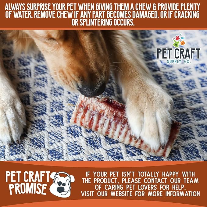 Pet Craft Supply All Natural Healthy Buffalo Butcher 12 Pack Bones Dog Chews Treats for Aggressive Chewers Long Lasting Rawhide Free Premium Slow Roasted for Small Medium Large Dogs