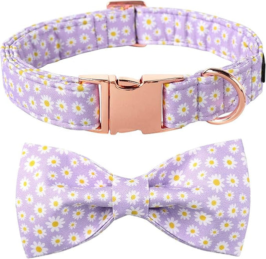 Lionet Paws Spring Dog Collar with Bowtie, Soft Comfortable Adjustable Cute Daisy Bowtie Collar for Dogs and Cats Female Gift, XS, Neck 8-12 inches