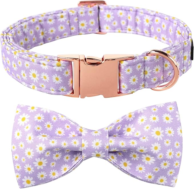 Lionet Paws Spring Dog Collar with Bowtie, Soft Comfortable Adjustable Cute Daisy Bowtie Collar for Dogs Female Gift, Small, Neck 10-16 inches