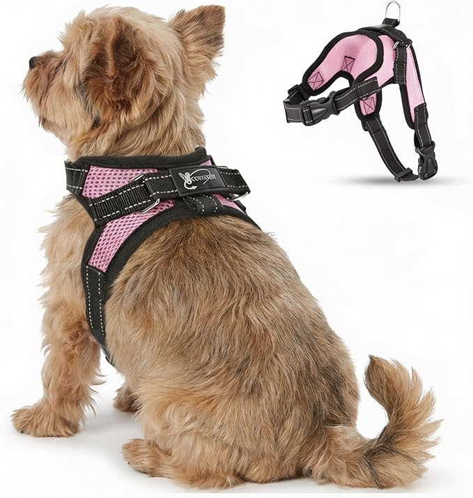 No Pull Reflective Adjustable Dog Harness with Handle- Comfortable Soft All Weather Mesh, Easy On Puppy Harness for Small Medium and Large Dogs (Pink) XX-Small