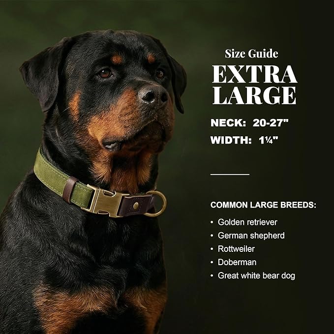 Didog Soft PU Leather Dog Collar for Large Dogs,Classic Adjustable Wide Dog Collars with Quick Release Metal Buckle,Easy Clean and Comfortable with Nylon Lining,Olive Green,XL Neck 20-27", Width 1¼"